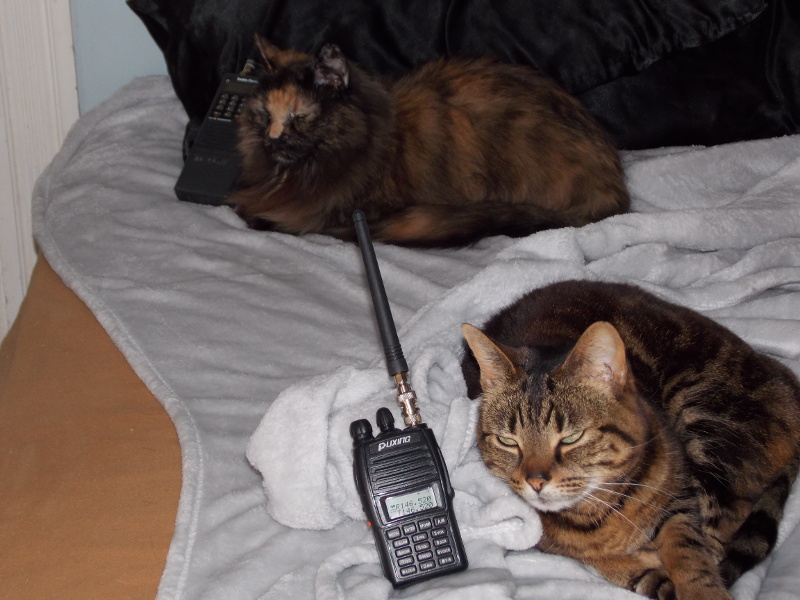 Have a buddy like my two girls ready on two meter simplex 146.520 MHz